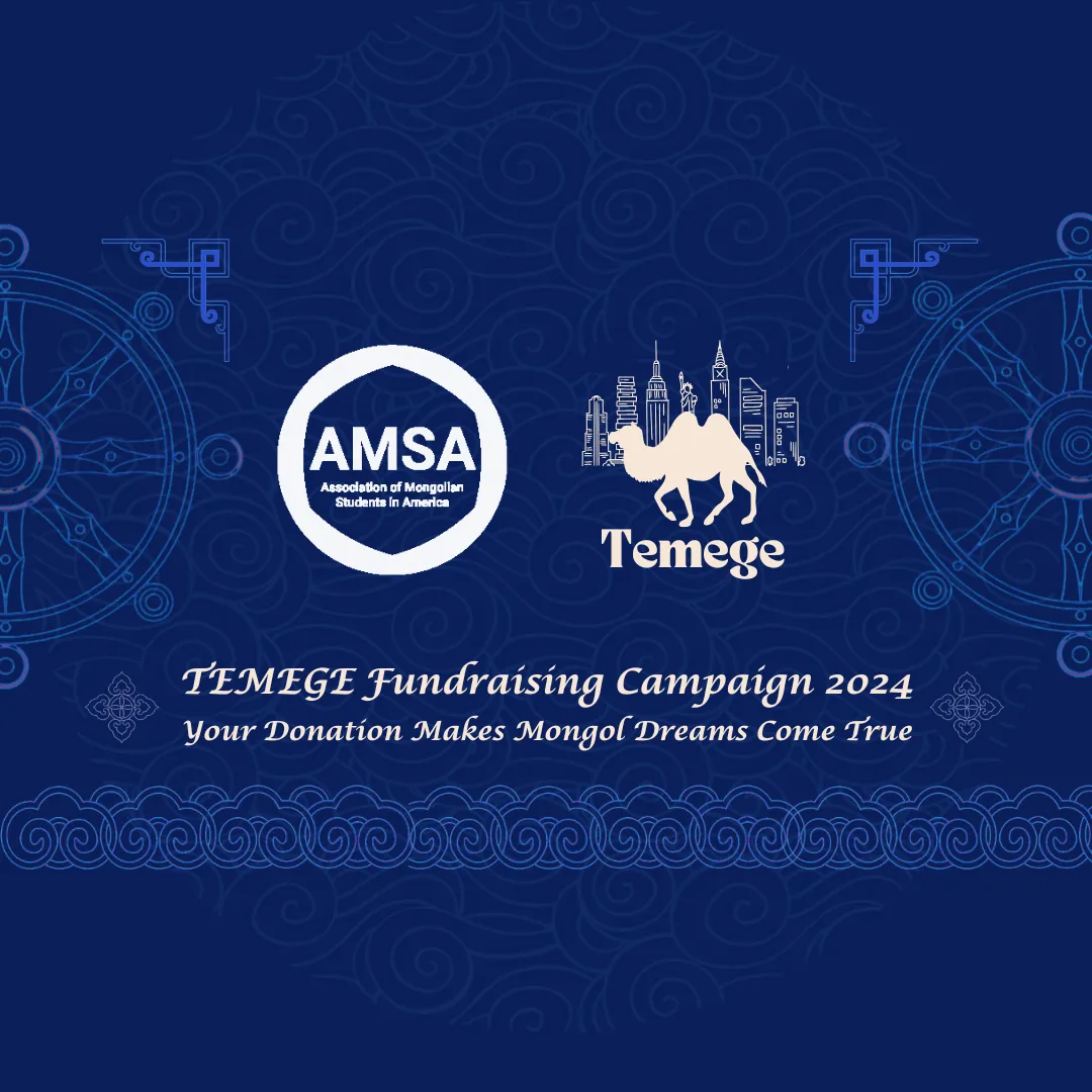 Temege Campaign